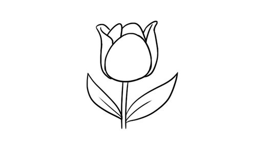 怎样画漂亮的花朵