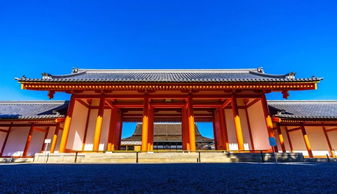 京都樱花开放时间2022京都樱花开放推荐地点