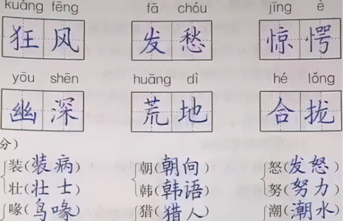 仔细拼音怎么拼写读音，仔细的拼音怎么写