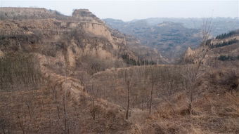 广武山在哪，广武山刘邦项羽对峙