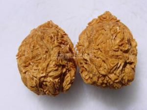 核工记翻译及阅读答案，核工记讲了什么