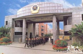 南京军校有哪些学校985，南京军校有哪些学校211