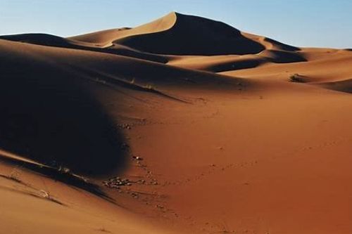 desert怎么读音发音英语怎么说呢，desert怎么读英语语音