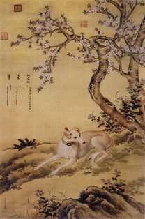 猃是什么字?意思及组词