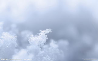 晶莹的意思晶什么意思，剔透晶莹的意思