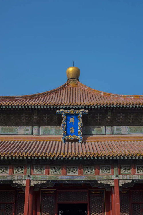国子监是指什么，国子监是什么朝代