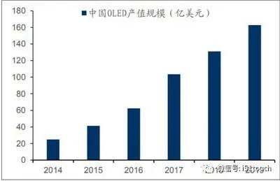 2024年五行属什么