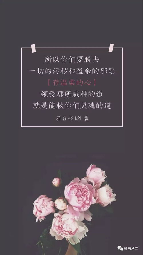 基督教歌曲你的恩典这首歌名在哪里哪个歌本