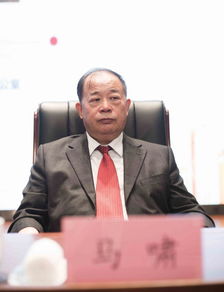 马啸林，马啸天将军