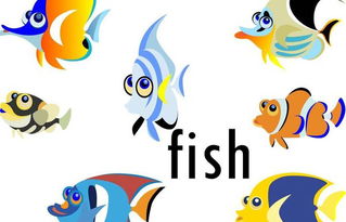 fish是可数名词吗?