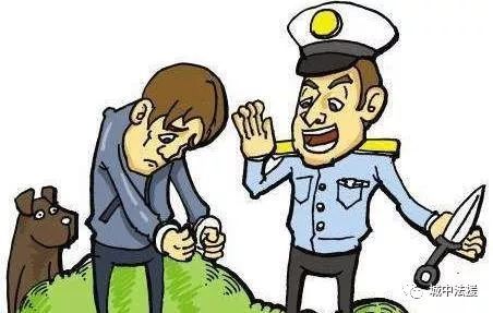 编造是什么意思