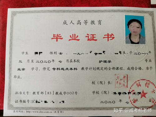 护士最低学历要求是什么
