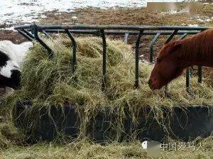 马无夜草不肥人无横财不富下一句是什么意思，马无夜草不肥人无横财不富出自哪里