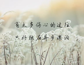 清浅是什么意思