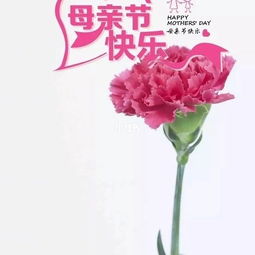 有关花店的句子文案