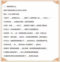 中考语文必考知识点2023古诗，中考语文必考知识点2022