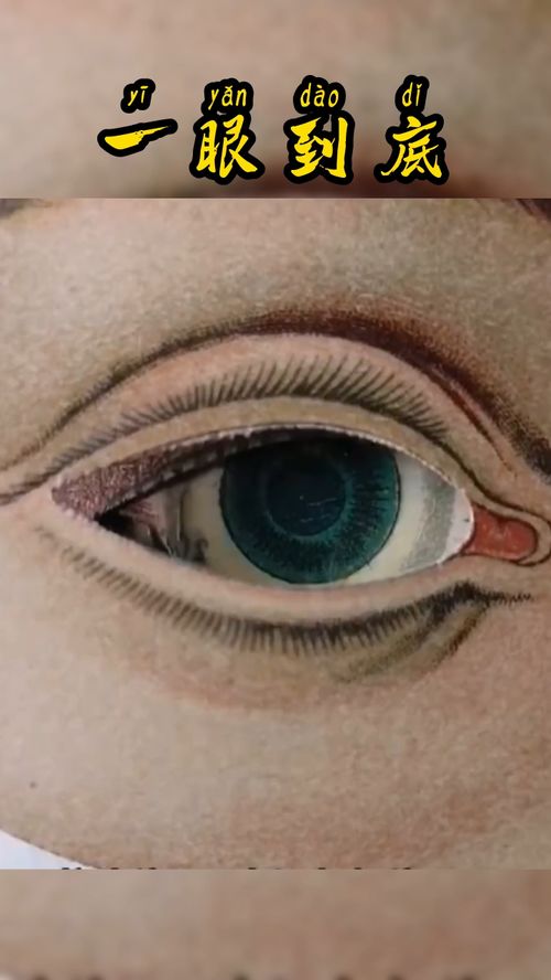 世界上人类的眼睛有哪几种颜色