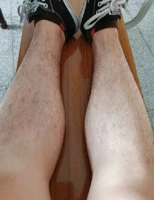 结实的拼音怎么写
