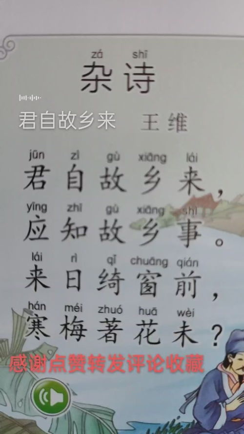 杂诗古诗的意思，幼儿杂诗古诗