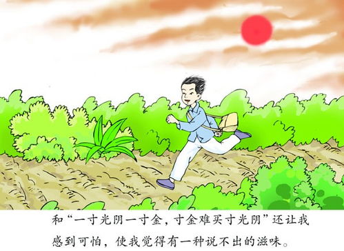 和时间赛跑的小学作文