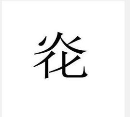 “嫑、嘦、巭、奣、炛、忈 ”这几个字怎么念?什么意思?