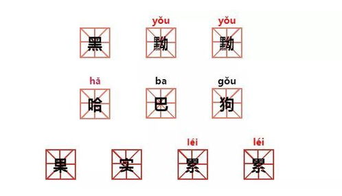 应届拼音怎么写，应届的拼音是什么