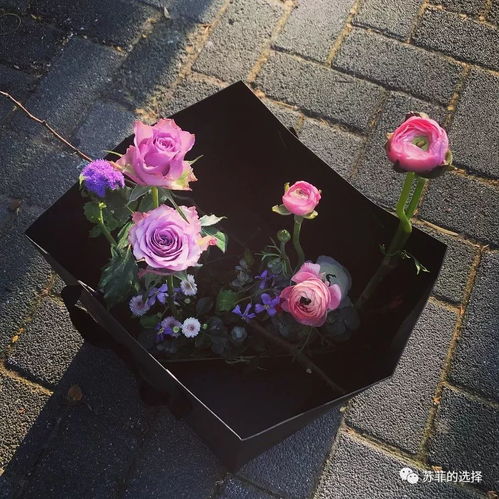 春天的花园一段话，春天的花园小班教案反思
