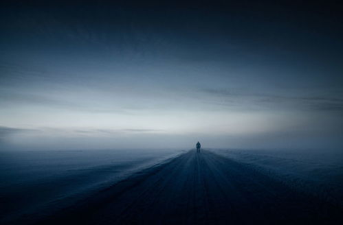 lonely 和alone的例句