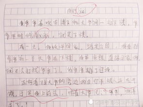 下象棋作文