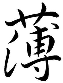 薄组词四年级上册，薄组词和拼音字
