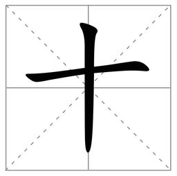阴的拼音