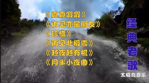 北极雪和再见北极雪，再见北极雪简谱