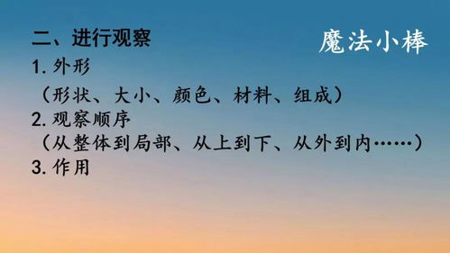 我的心爱之物400字免费，作文题目是我的心爱之物400字