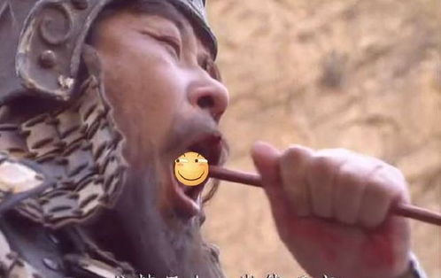 “贾文和料敌决胜,夏侯惇拔矢啖睛”这句话是什么意思?