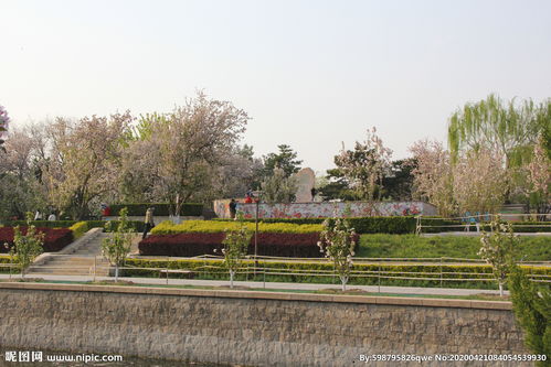 北京元大都遗址公园海棠花溪2023，北京元大都遗址公园在哪里坐什么公交车