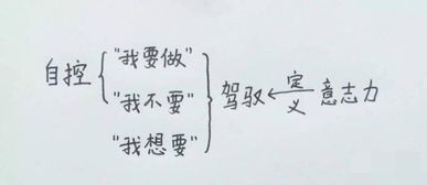 穷尽的解释穷尽的解释是什么