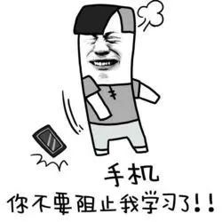 我的收获作文