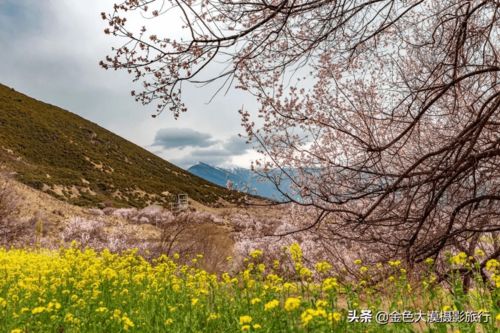 误入桃花源是什么意思，误入桃花源书籍