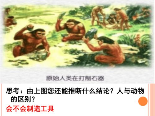上帝创造人的过程用了几天?