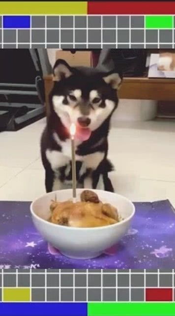 HUHA什么意思