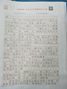 我想当一回什么作文500字，我想当一下
