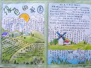如何保护环境英语作文80字