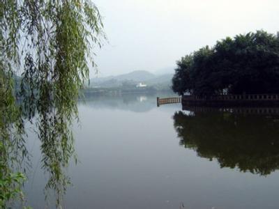 沙坪坝天气预报40天精准，沙坪坝天气预报30天准确率高
