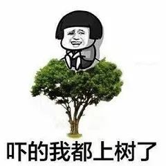 ()()的巨响