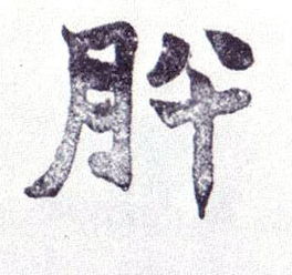 肸蚃，肸的拼音