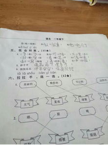 炎加偏旁组成新字再组词，寺加偏旁组成新字别