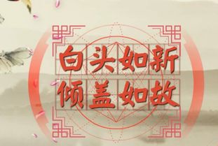白头如新,倾盖如故什么意思