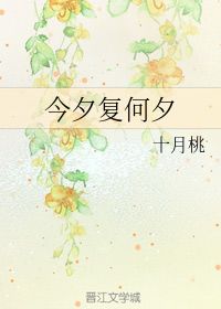 今夕复何夕是什么意思