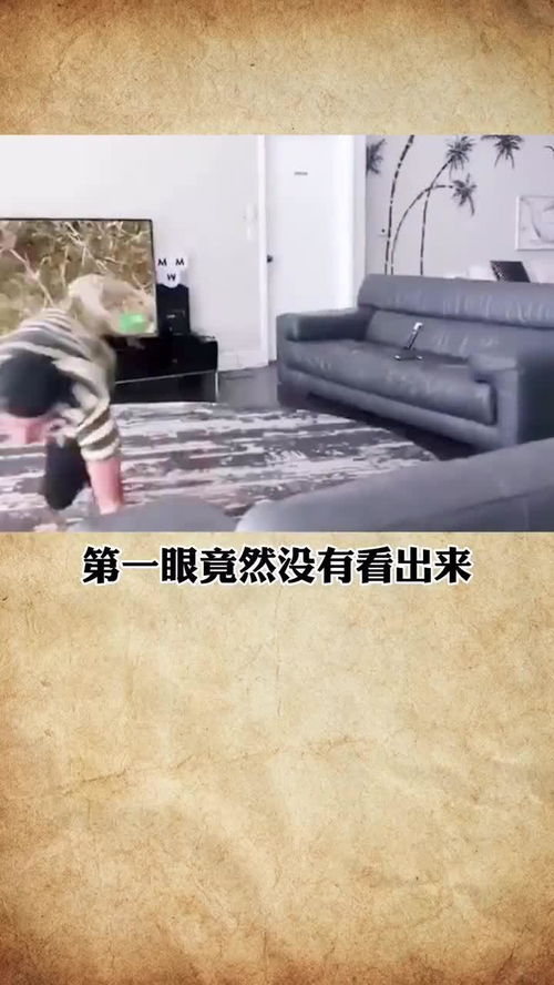 看错了人的伤感句子，看错了人的心情说说