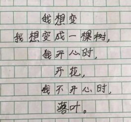 250字作文，英语作业120字作文